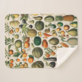 Couverture Sherpa Illustration scientifique végétale des fruits (Devant (Horizontal))