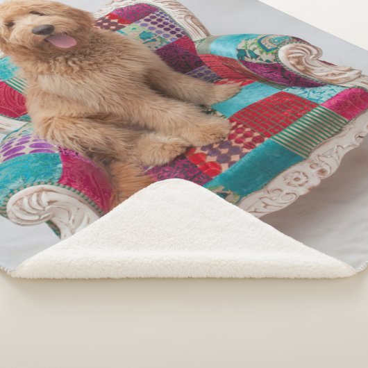 Couverture Sherpa Images de Getty | Goldendoodle mignon (3/4)