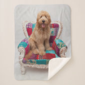 Couverture Sherpa Images de Getty | Goldendoodle mignon (Devant)