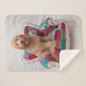 Couverture Sherpa Images de Getty | Goldendoodle mignon (Devant (Horizontal))