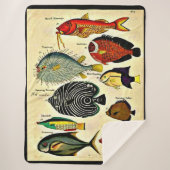 Couverture Sherpa impression de poisson d'époque (Devant)