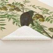 Couverture Sherpa Impression d'oiseau Grackle Violet d'Audubon Botan (3/4)
