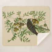 Couverture Sherpa Impression d'oiseau Grackle Violet d'Audubon Botan (Devant (Horizontal))