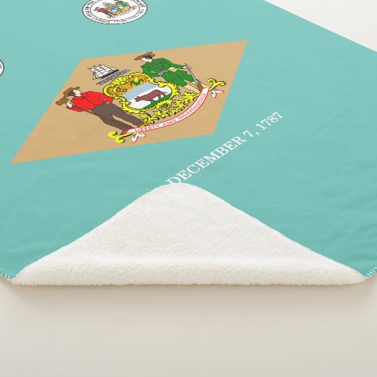 Couverture Sherpa Indicateur du Delaware (3/4)