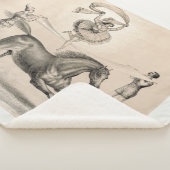 Couverture Sherpa Interprète De Cirque Qui Saute Sur Un Gros Ruban (3/4)