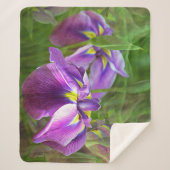 Couverture Sherpa Irises pourpres en mouvement (Devant)