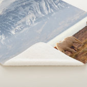 COUVERTURE SHERPA ISLANDE (3/4)