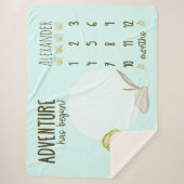 Couverture Sherpa Jalon de bébé T Rex Dinosaur mignon (Devant)