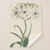 Couverture Sherpa Jardin d'ivoire (Devant)