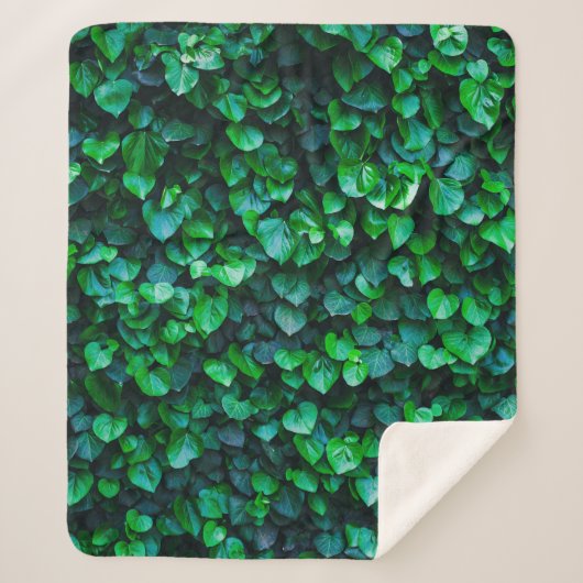 Couverture Sherpa Jardin intérieur de la jungle urbaine (Devant)