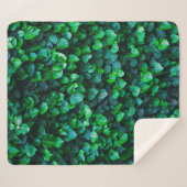 Couverture Sherpa Jardin intérieur de la jungle urbaine (Devant (Horizontal))