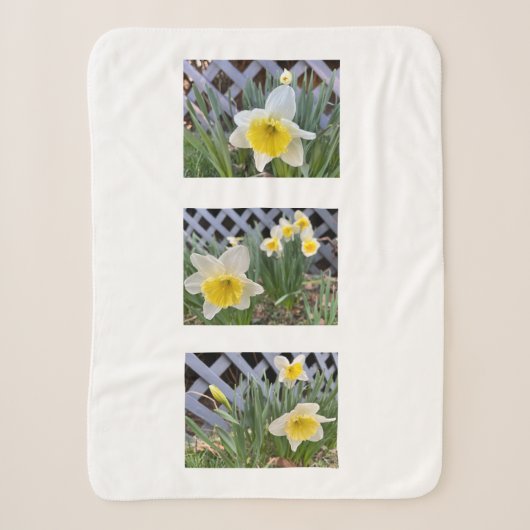 Couverture Sherpa Jaune Daffodique Blanket Sherpa (Devant)