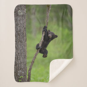 Couverture Sherpa Jeune ourson noir jouant sur une branche d'arbre