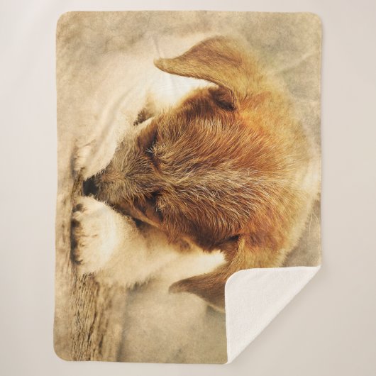 Couverture Sherpa Joli chiot (Devant)