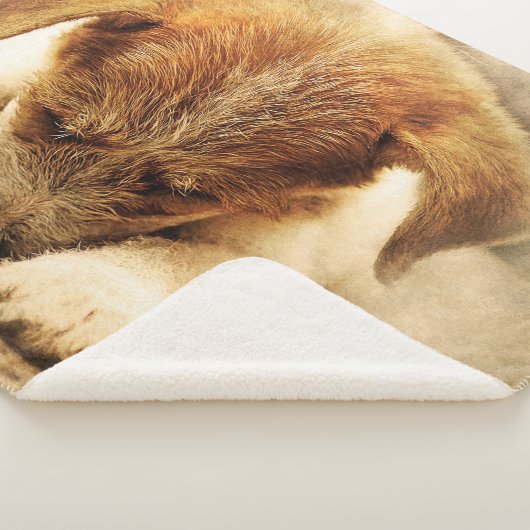 Couverture Sherpa Joli chiot (3/4)