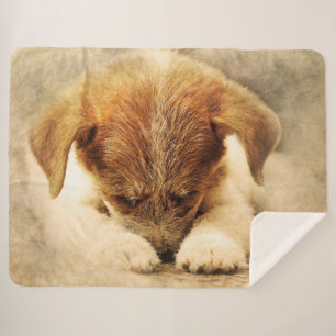 Couverture Sherpa Joli chiot
