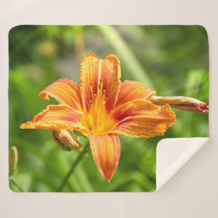 Couverture Sherpa Jolie grande fleur Lily photo