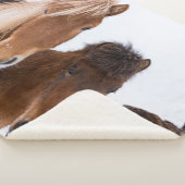 Couverture Sherpa Jolis chevaux islandais ensemble (3/4)
