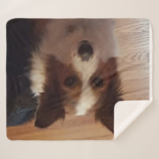 Couverture Sherpa Jour de détente (Devant (Horizontal))