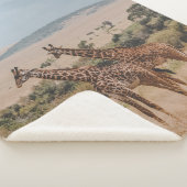 COUVERTURE SHERPA JOURNÉE MONDIALE DE LA FAUNE (3/4)
