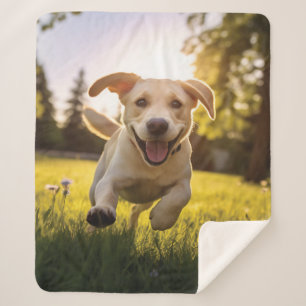 Couverture Sherpa Joyeux Labrador Puppy Running