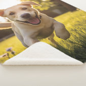 Couverture Sherpa Joyeux Labrador Puppy Running (3/4)