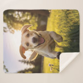 Couverture Sherpa Joyeux Labrador Puppy Running (Devant (Horizontal))