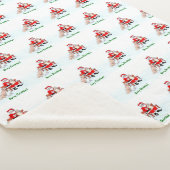 Couverture Sherpa Joyeux Noël! Père Noël avec chat et chien (3/4)