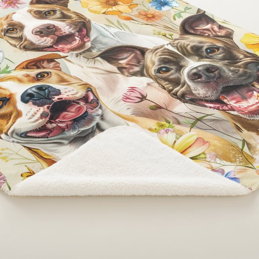 Couverture Sherpa Joyeux Pitbull Chiens, Pit Bulls (3/4)