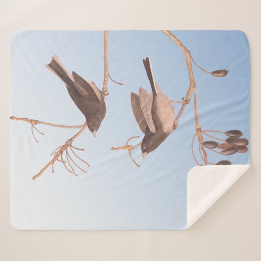 Couverture Sherpa Junco Audubon, à l'oeil foncé, Oiseaux de neige su (Devant (Horizontal))