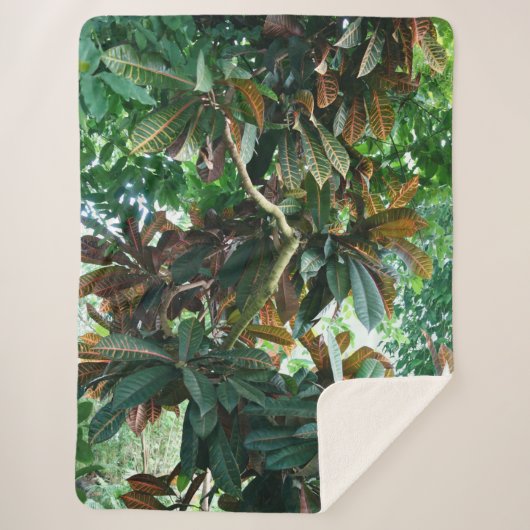 Couverture Sherpa Jungle tropicale verte (Devant)