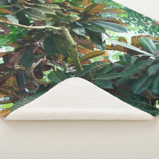 Couverture Sherpa Jungle tropicale verte (3/4)