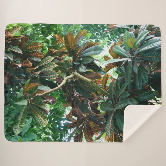 Couverture Sherpa Jungle tropicale verte (Devant (Horizontal))