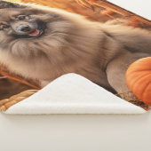 Couverture Sherpa Keeshond'automne (3/4)