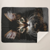 Couverture Sherpa Kitten (Devant (Horizontal))