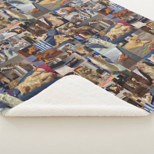 Couverture Sherpa Kitten Photo Collage, (3/4)