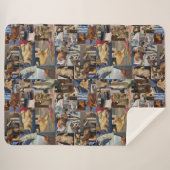 Couverture Sherpa Kitten Photo Collage, (Devant (Horizontal))