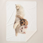 Couverture Sherpa Kitty Love (Devant)