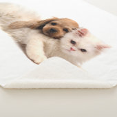 Couverture Sherpa Kitty Love (3/4)