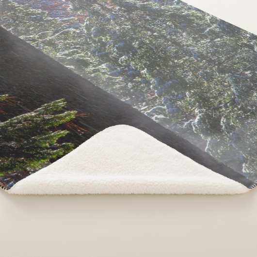 Couverture Sherpa La brume neigeuse dans la forêt (3/4)