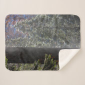 Couverture Sherpa La brume neigeuse dans la forêt (Devant (Horizontal))