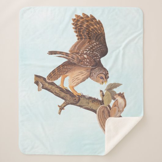 Couverture Sherpa La Chouette barrée d'Audubon et les amis de l'écur (Devant)