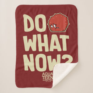 Couverture Sherpa La Meatwad, Force De La Faim De L'Ado Aqua "Faites