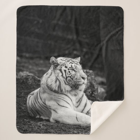 COUVERTURE SHERPA LA PENSÉE DU TIGRE (Devant)