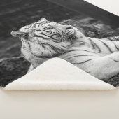 COUVERTURE SHERPA LA PENSÉE DU TIGRE (3/4)