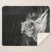 COUVERTURE SHERPA LA PENSÉE DU TIGRE (Devant (Horizontal))