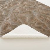 Couverture Sherpa La plage de Daytona (3/4)