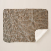 Couverture Sherpa La plage de Daytona (Devant (Horizontal))