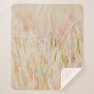 COUVERTURE SHERPA LA TERRE DE PÂTE A ÉTÉ TRANSFORMÉE EN PASTEL-COLOR