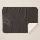 Couverture Sherpa laboratoire noir (Devant (Horizontal))